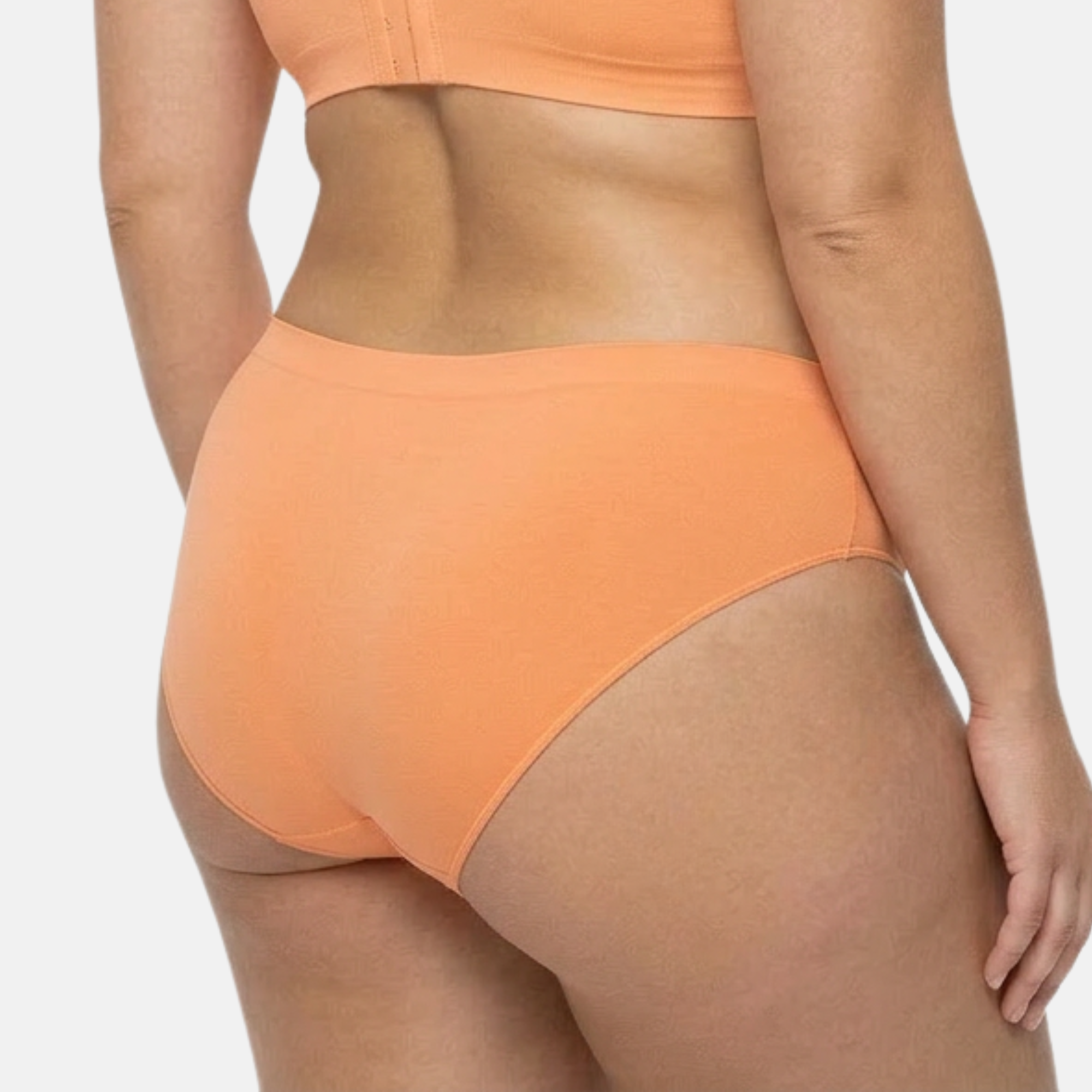 3 Pack Everyday-U Brief