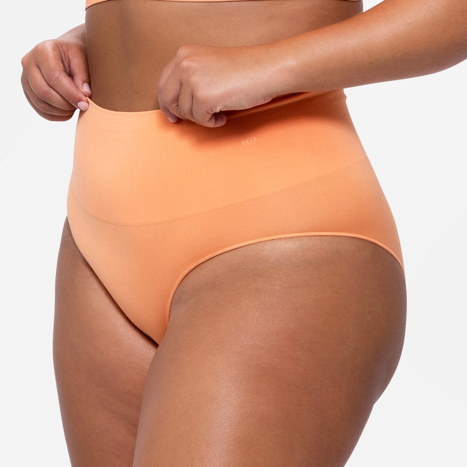 308 Smoothing At Waist Brief
